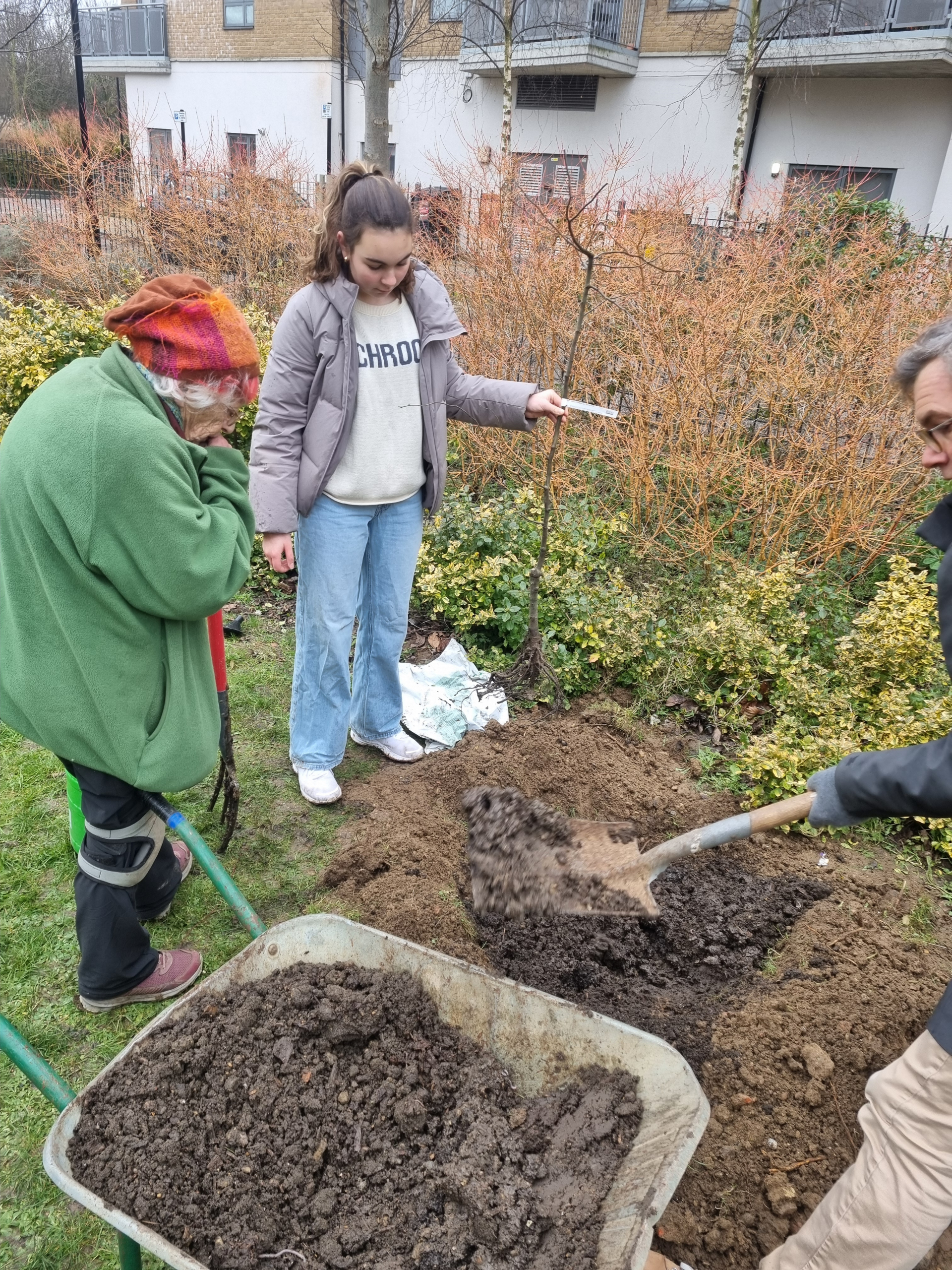 Caledonian-Park-Planting
