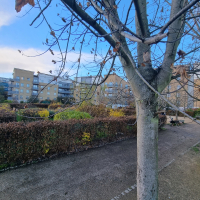 Hedged Grdns 20251202_135043