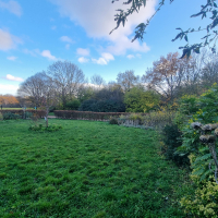 Hedged Grdns 20251202_135220
