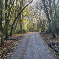 Woodland+Park Run 20251203_130109
