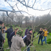 Wassailing 20260118_132034