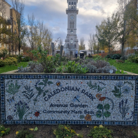 Avenue 20251202_130028