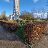 Hedged Grdns 20251202_134629