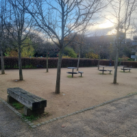Petanque 20251202_140159 Petanque 20251202_140159