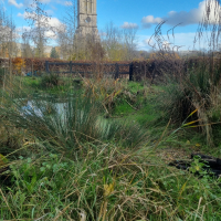 Pond 20251202_135915
