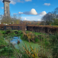 Pond 20251202_135932
