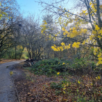 Woodland+Parkrun 20251203_122306