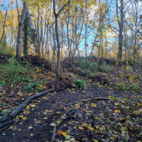 Woodlands (West) 20251203_123748